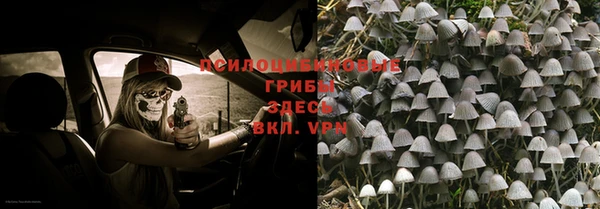 метадон Заволжск