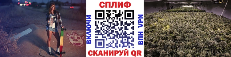 Купить закладки  Касимов  Канабис план 